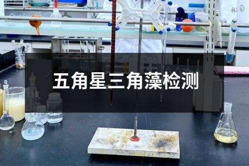 五角星三角藻檢測(cè)