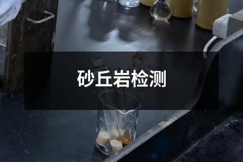 砂丘巖檢測
