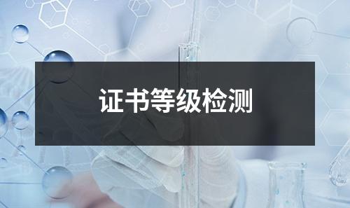證書(shū)等級(jí)檢測(cè)