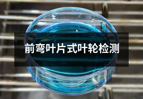 前彎葉片式葉輪檢測(cè)