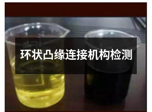 環(huán)狀凸緣連接機構(gòu)檢測