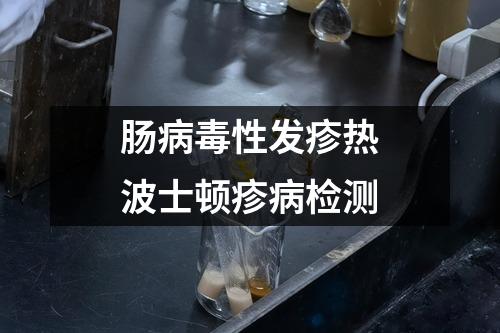 腸病毒性發(fā)疹熱波士頓疹病檢測