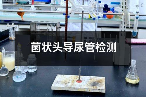 菌狀頭導尿管檢測