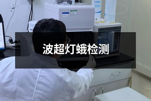 波超燈蛾檢測(cè)