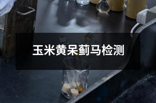 玉米黃呆薊馬檢測(cè)