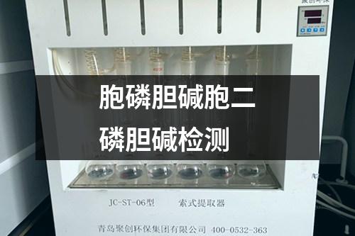 胞磷膽堿胞二磷膽堿檢測(cè)
