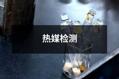 熱媒檢測