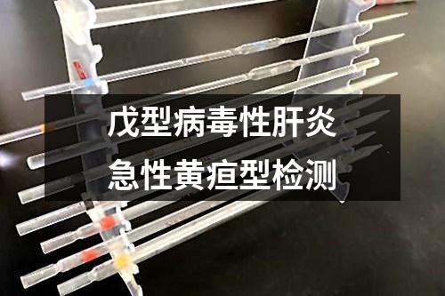戊型病毒性肝炎急性黃疸型檢測(cè)