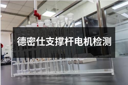 德密仕支撐桿電機檢測