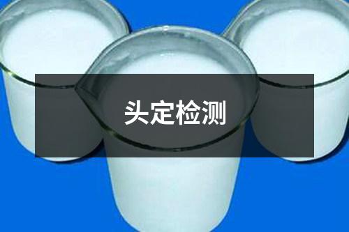 頭定檢測