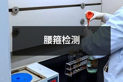 腰箍檢測
