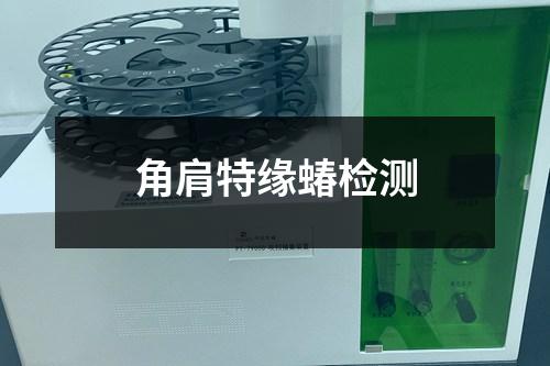 角肩特緣蝽檢測
