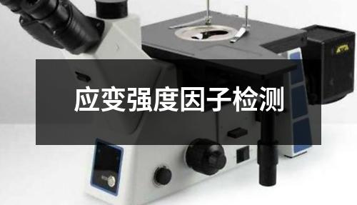 應(yīng)變強(qiáng)度因子檢測(cè)