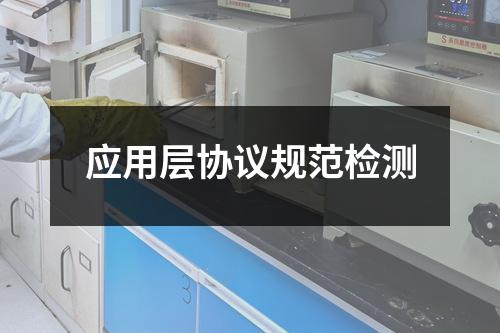 應用層協(xié)議規(guī)范檢測