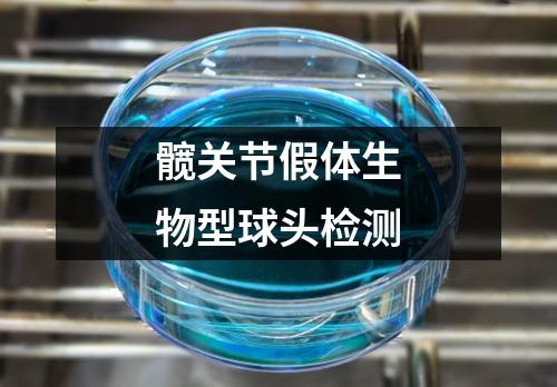 髖關(guān)節(jié)假體生物型球頭檢測