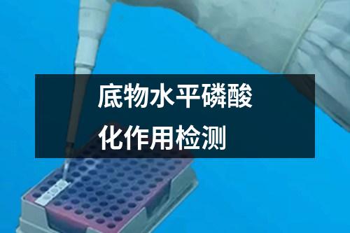 底物水平磷酸化作用檢測