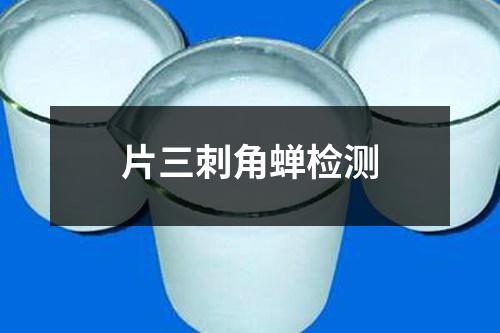 片三刺角蟬檢測(cè)