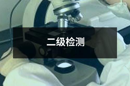 二級檢測