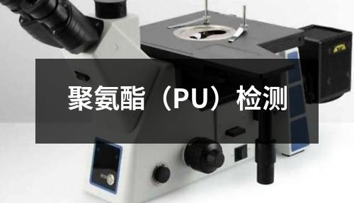 聚氨酯（PU）檢測(cè)