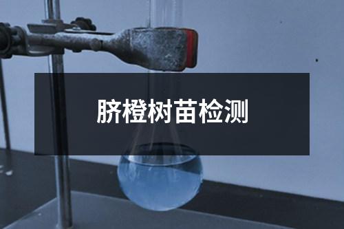 臍橙樹苗檢測