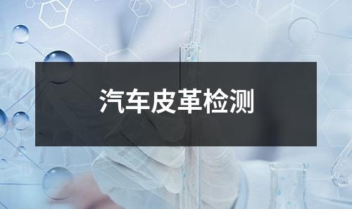 汽車皮革檢測(cè)