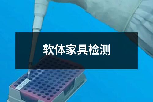 軟體家具檢測