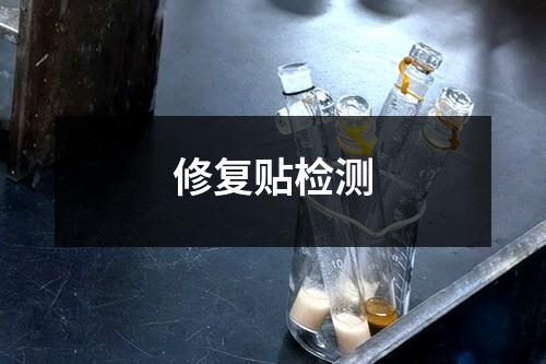 修復(fù)貼檢測(cè)