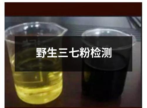 野生三七粉檢測