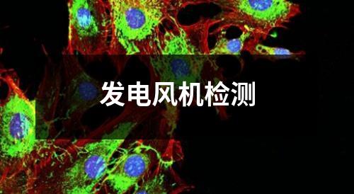 發(fā)電風機檢測