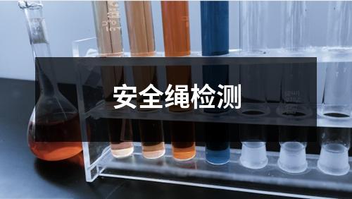 安全繩檢測