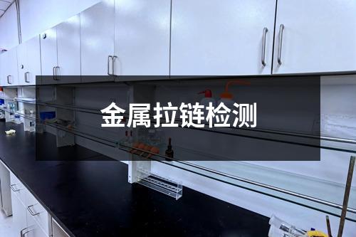 金屬拉鏈檢測