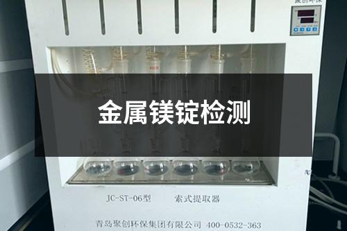 金屬鎂錠檢測