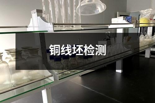 銅線坯檢測(cè)