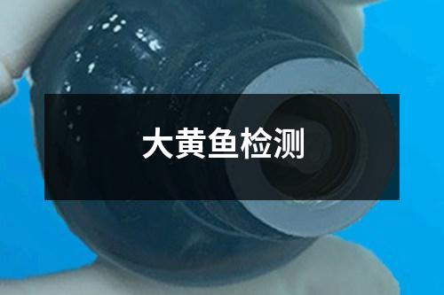 大黃魚檢測(cè)