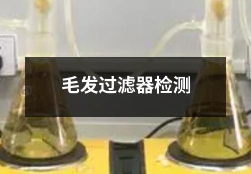 毛發(fā)過濾器檢測