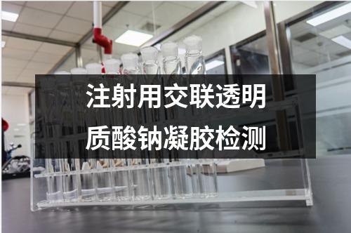 注射用交聯(lián)透明質(zhì)酸鈉凝膠檢測