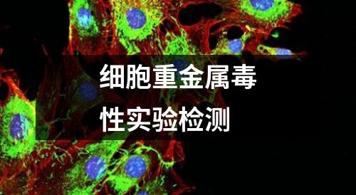 細(xì)胞重金屬毒性實(shí)驗(yàn)檢測