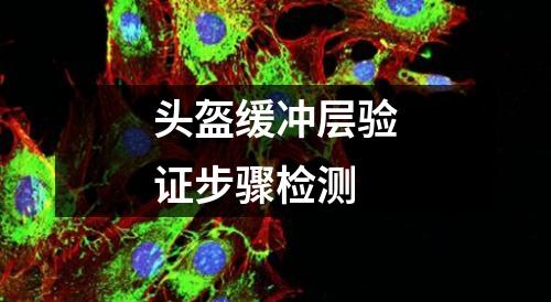 頭盔緩沖層驗證步驟檢測