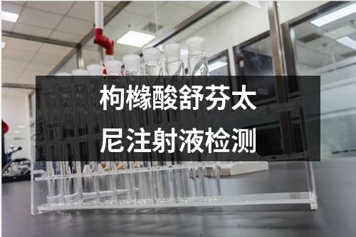 枸櫞酸舒芬太尼注射液檢測(cè)