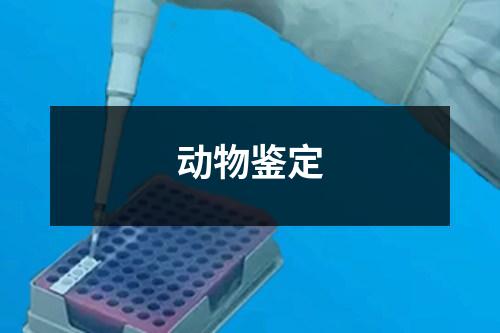 動物鑒定