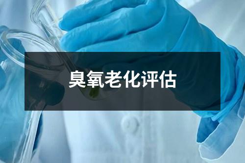 臭氧老化評估