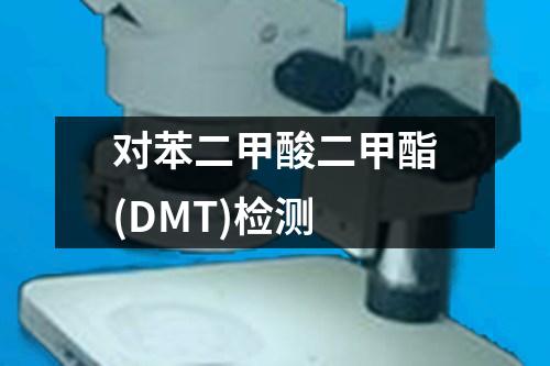對(duì)苯二甲酸二甲酯(DMT)檢測(cè)