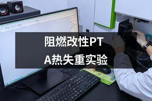 阻燃改性PTA熱失重實(shí)驗(yàn)