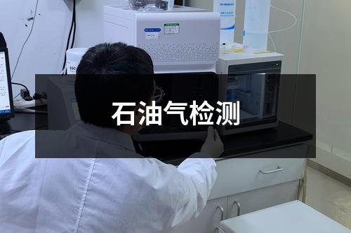石油氣檢測(cè)