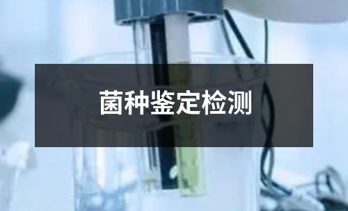 菌種鑒定檢測