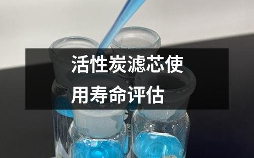 活性炭濾芯使用壽命評(píng)估