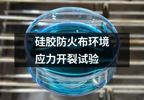 硅膠防火布環(huán)境應(yīng)力開(kāi)裂試驗(yàn)