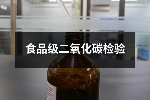 食品級二氧化碳檢驗