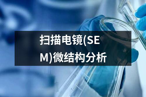 掃描電鏡(SEM)微結(jié)構(gòu)分析
