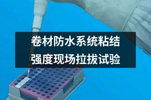 卷材防水系統(tǒng)粘結強度現(xiàn)場拉拔試驗